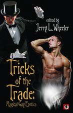 Tricks of the Trade: Agical Gay Erotica