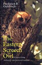 The Eastern Screech Owl