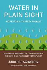 Water in Plain Sight