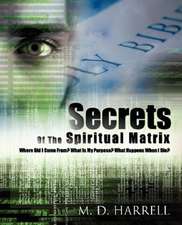 Secrets Of The Spiritual Matrix