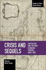 Crisis And Sequels: Capitalism and the New Economic Turmoil Since 2007