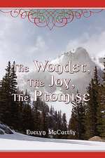 The Wonder, the Joy, the Promise Stories for Christmas