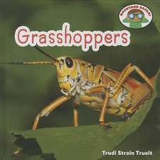 Grasshoppers