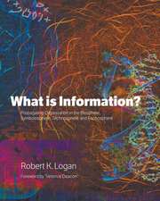 What is Information?