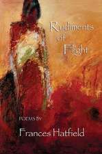 Rudiments of Flight