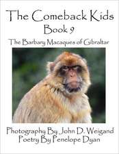 The Comeback Kids -- Book 9 -- The Barbary Macaques of Gibraltar