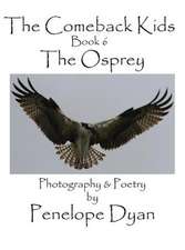 The Comeback Kids, Book 6, the Osprey: A Re-Telling of the Picture of Dorian Gray