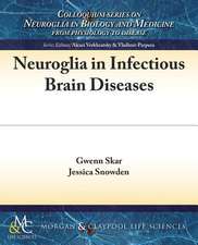 Neuroglia in Infectious Brain Diseases