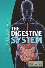 The Digestive System