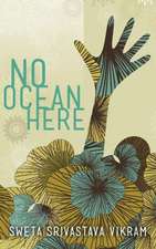 No Ocean Here