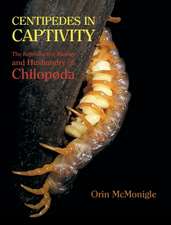 Centipedes in Captivity