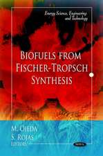 Biofuels from Fischer-Tropsch Synthesis