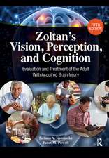 Zoltan’s Vision, Perception, and Cognition