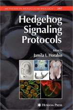 Hedgehog Signaling Protocols