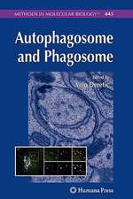 Autophagosome and Phagosome