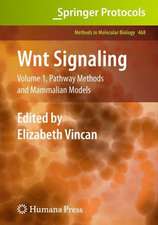 Wnt Signaling: Volume 1: Pathway Methods and Mammalian Models