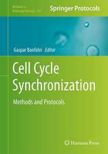 Cell Cycle Synchronization: Methods and Protocols