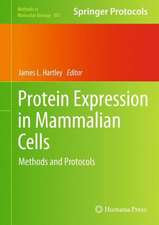 Protein Expression in Mammalian Cells: Methods and Protocols