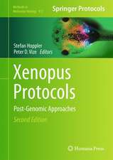 Xenopus Protocols: Post-Genomic Approaches