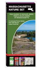 Massachusetts Nature Set: Field Guides to Wildlife, Birds, Trees & Wildflowers of Massachusetts