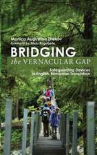 Bridging the Vernacular Gap: Safeguarding Devices in English-Romanian Translation