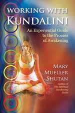 Working with Kundalini: An Experiential Guide to the Process of Awakening