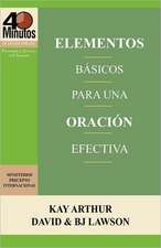 Elementos Basicos Para Una Oracion Efectiva / The Essentials of Effective Prayer (40 Minute Bible Studies)