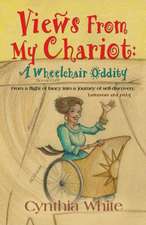 Views from My Chariot: A Wheelchair Oddity