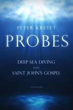 Probes: Deep Sea Diving Into Saint John's Gospel: Questions for Individual or Group Study