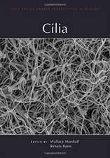 Cilia and Flagella