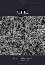Cilia