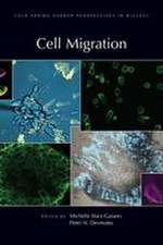 Cell Migration
