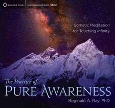 The Practice of Pure Awareness