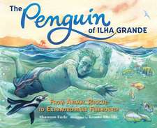 The Penguin of Ilha Grande