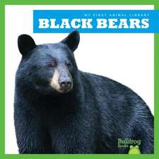 Black Bears