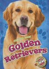 Golden Retrievers