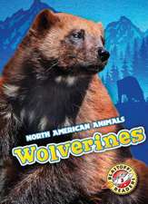 Wolverines