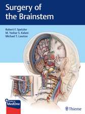 Surgery of the Brainstem