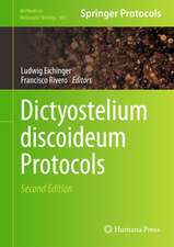 Dictyostelium discoideum Protocols