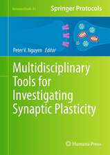 Multidisciplinary Tools for Investigating Synaptic Plasticity