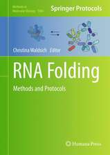 RNA Folding