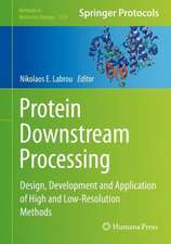 Protein Downstream Processing: Design, Development and Application of High and Low-Resolution Methods