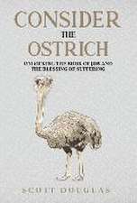 Consider the Ostrich