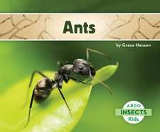 Ants