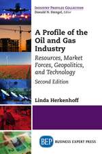 A Profile of the Oil and Gas Industry, Second Edition