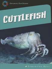 Cuttlefish