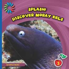 Discover Moray Eels