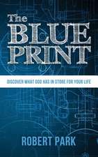 The Blueprint: Discover What God Has in Store for Your Life