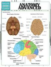 Anatomy Advanced