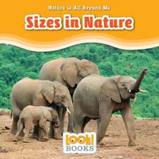 Sizes in Nature